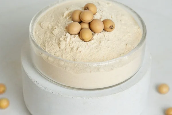 Lecithin Powder: Understanding Its Nutrients and Potential Wellness Applications